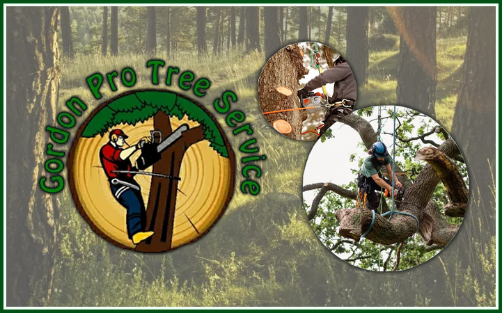 GORDON PRO TREE SERVICE
