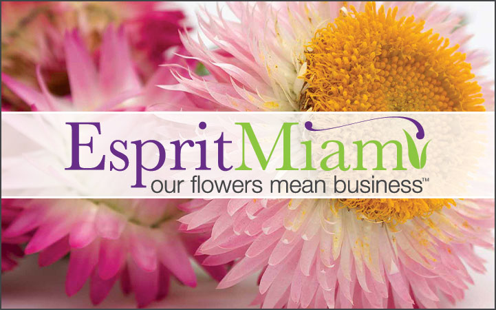 ESPRIT MIAMI