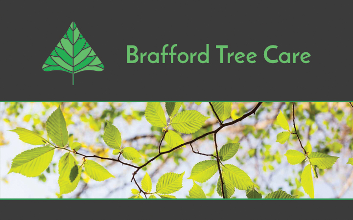 BRAFFORD TREE CARE - Local LANDSCAPE: TREE SERVICES in Wake Forest, NC