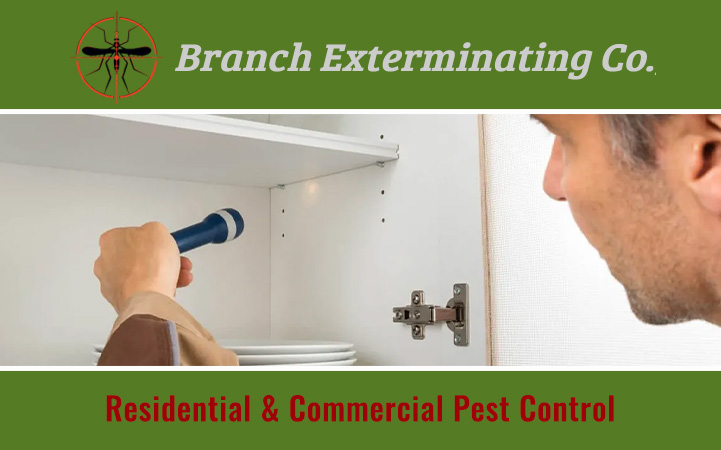Learn more about BRANCH EXTERMINATING COMPANY
