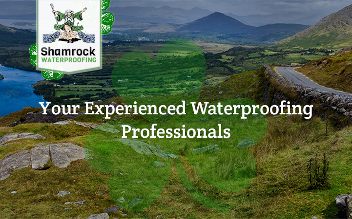 SHAMROCK WATERPROOFING
