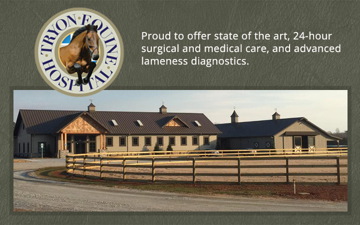 TRYON EQUINE HOSPITAL - Local VETERINARIANS in Columbus, NC
