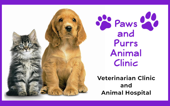 PAWS & PURRS ANIMAL CLINIC