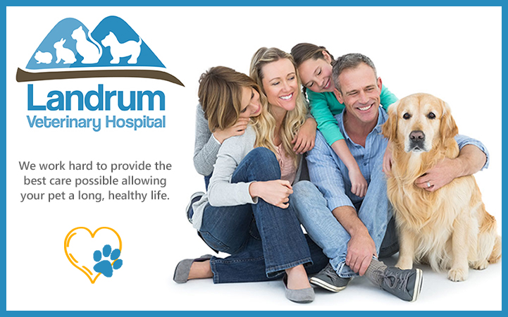 LANDRUM VETERINARY HOSPITAL