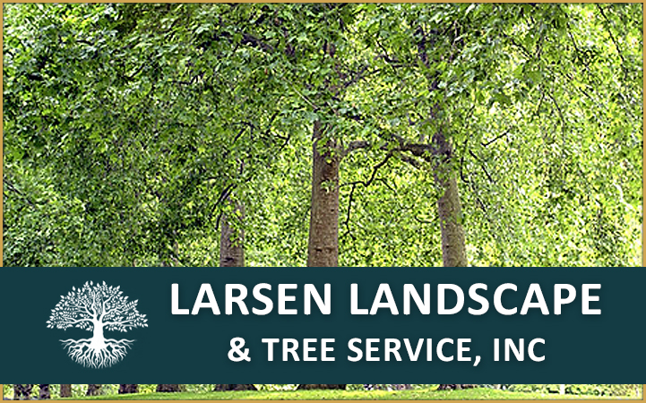 LARSEN LANDSCAPE AND TREE SERVICE, INC.