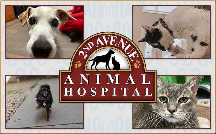 2ND AVENUE ANIMAL HOSPITAL in Columbus, GA