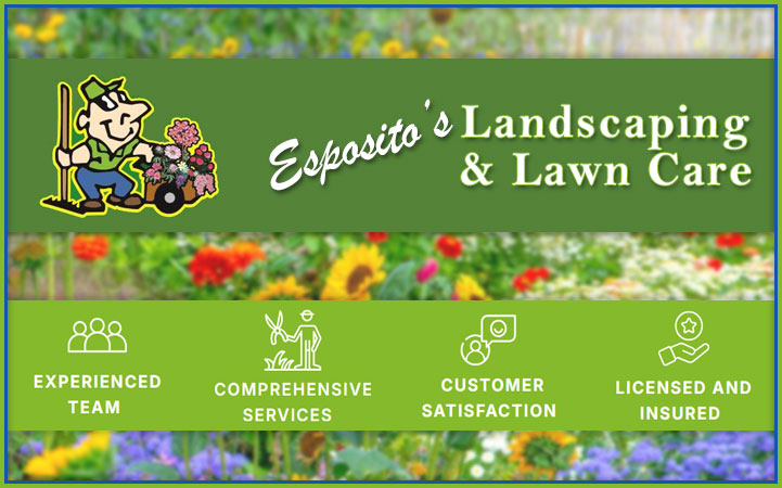 ESPOSITO'S LANDSCAPING AND LAWN CARE