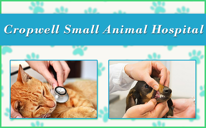 CROPWELL SMALL ANIMAL HOSPITAL