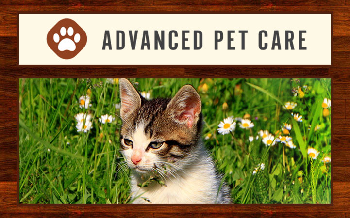 ADVANCED PET CARE