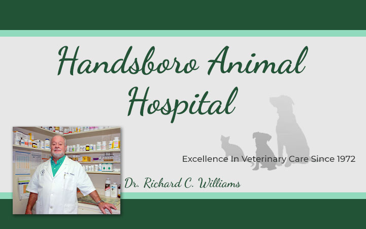 HANDSBORO ANIMAL HOSPITAL