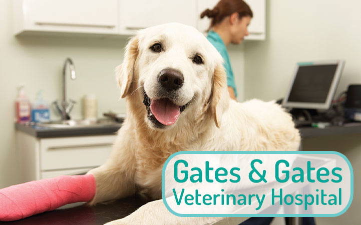 GATES & GATES VETERINARY HOSPITAL