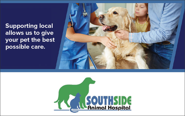 SOUTHSIDE ANIMAL HOSPITAL