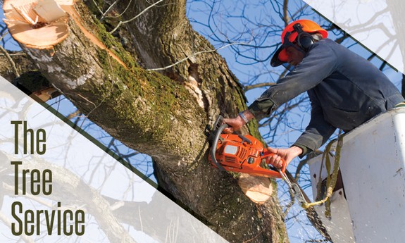 THE TREE SERVICE