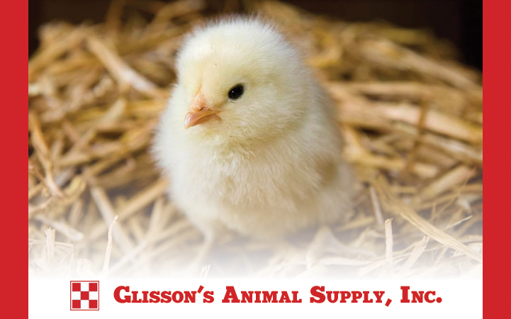 GLISSONS ANIMAL SUPPLY INC