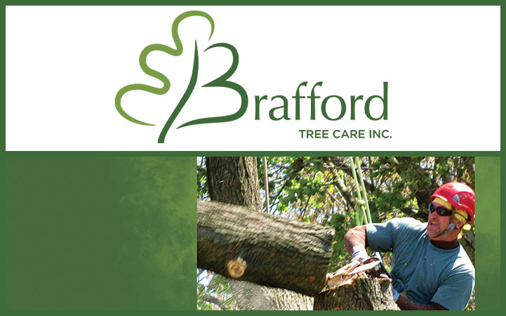 BRAFFORD TREE SERVICE - Local LANDSCAPE: TREE SERVICES in Wake Forest, NC