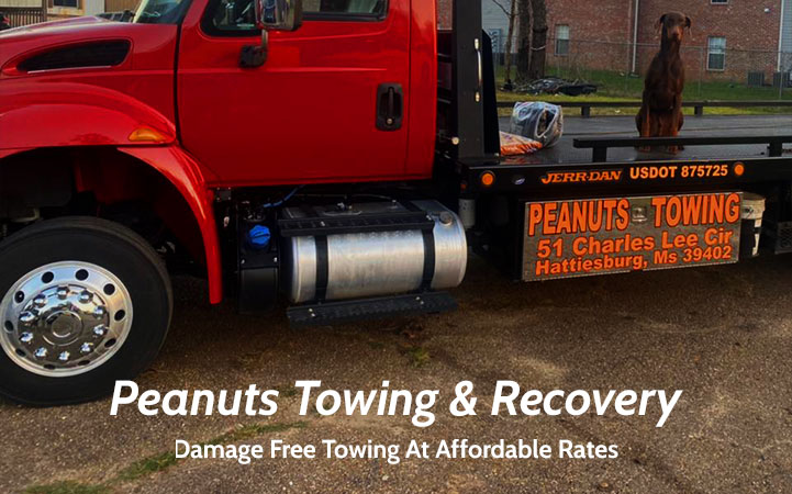 PEANUT'S TOWING SERVICE