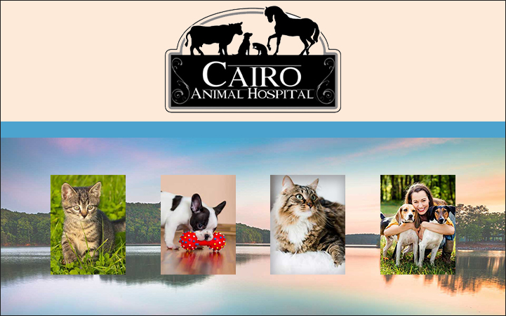 CAIRO ANIMAL HOSPITAL LLC