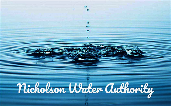 NICHOLSON WATER AUTHORITY