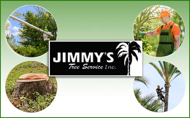 JIMMY'S TREE SERVICE, INC