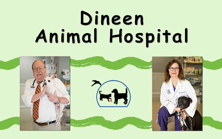 DINEEN ANIMAL HOSPITAL - Local ANIMAL HOSPITALS in Wilmington, NC
