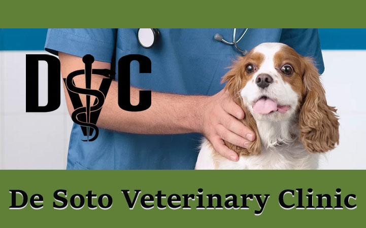 Learn more about DE SOTO VETERINARY CLINIC