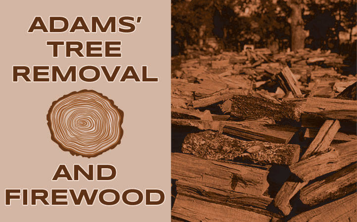 ADAMS TREE REMOVAL AND FIREWOOD