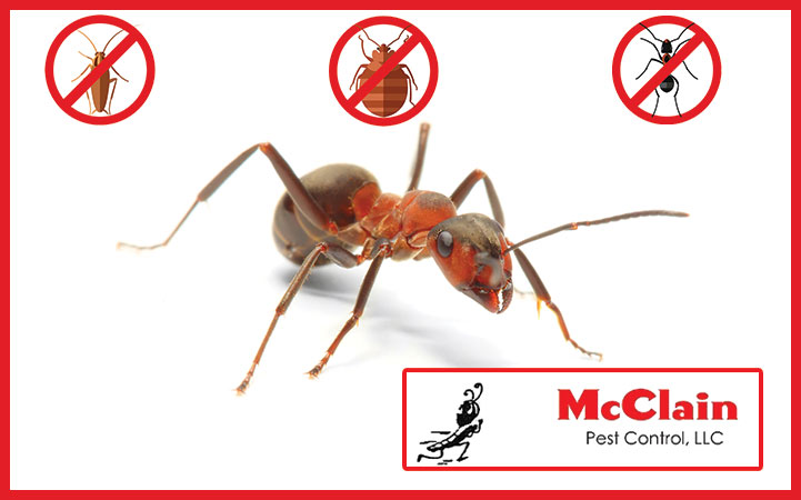 MCCLAIN'S PEST CONTROL LLC