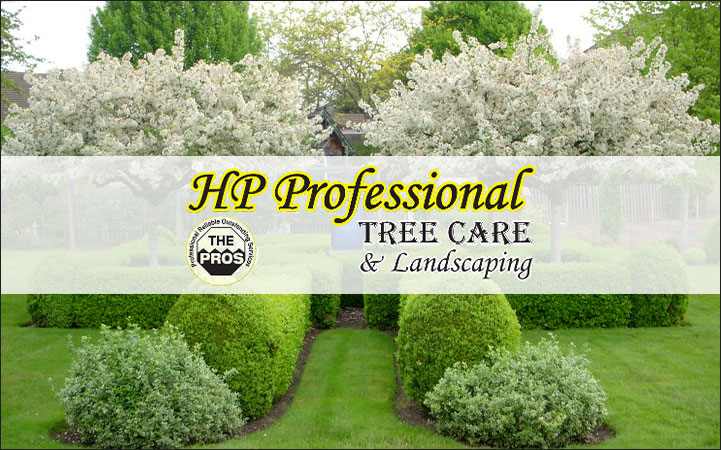 PROFESSIONAL TREE CARE