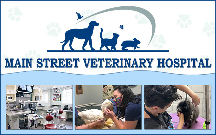 MAIN STREET VETERINARY HOSPITAL