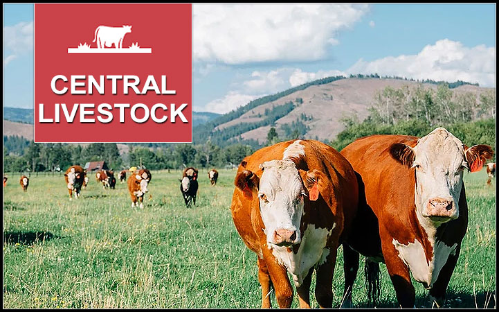 Learn more about CENTRAL LIVESTOCK