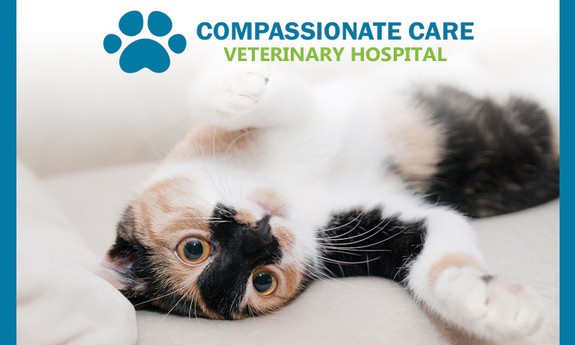 COMPASSIONATE CARE VETERINARY HOSPITAL