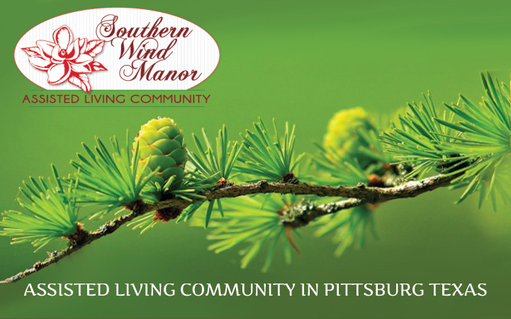 SOUTHERN WIND MANOR