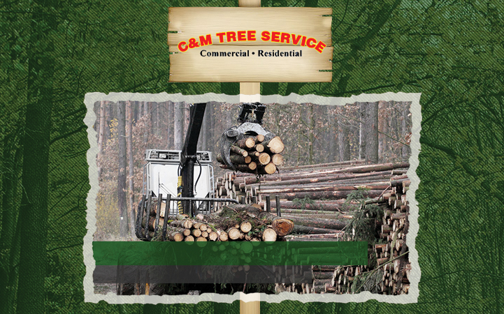 C & M TREE SERVICE