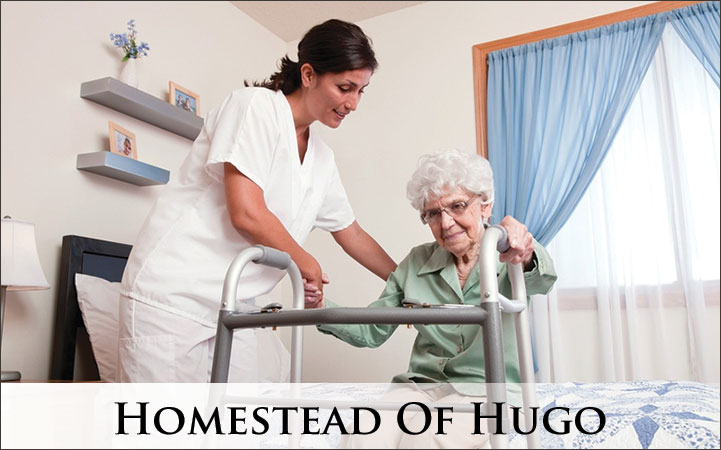 Learn more about HOMESTEAD OF HUGO