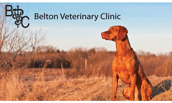 BELTON VETERINARY CLINIC