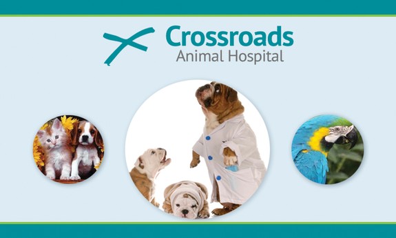 CROSSROADS ANIMAL HOSPITAL