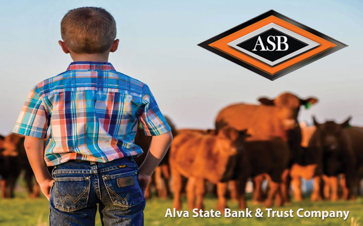 Learn more about ALVA STATE BANK & TRUST COMPANY