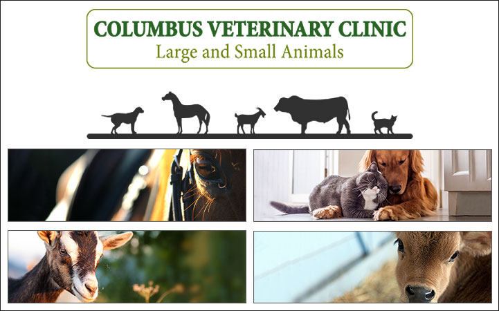 COLUMBUS VETERINARY CLINIC