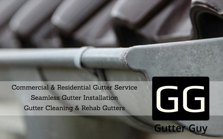 GUTTER GUY