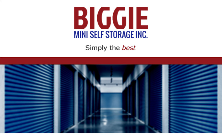 BIGGIE MINI SELF STORAGE