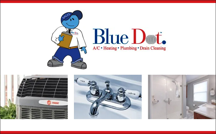BLUE DOT SERVICES
