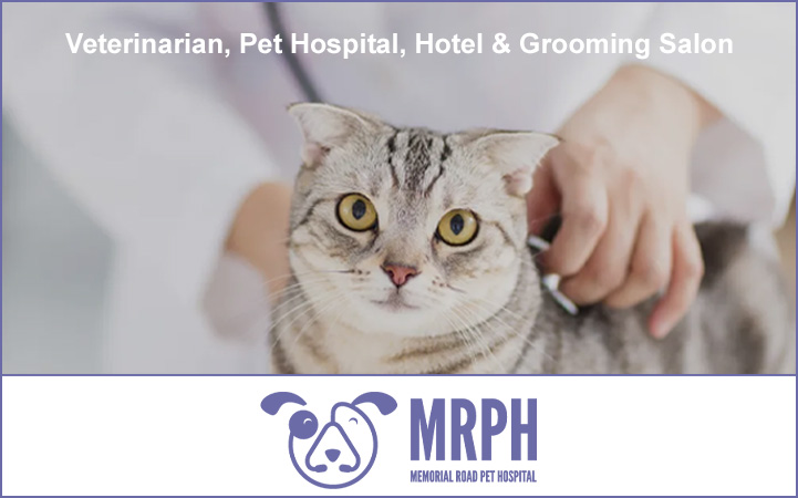 MEMORIAL ROAD PET HOSPITAL