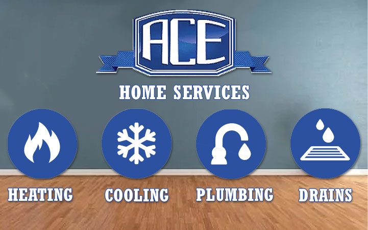 ACE HOME SERVICES INC in Phoenix, AZ
