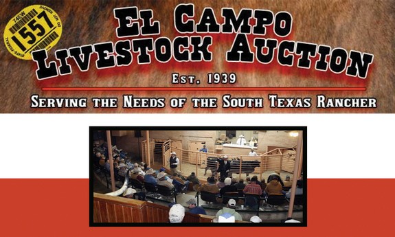 EL CAMPO LIVESTOCK AUCTION COMPANY, INC.