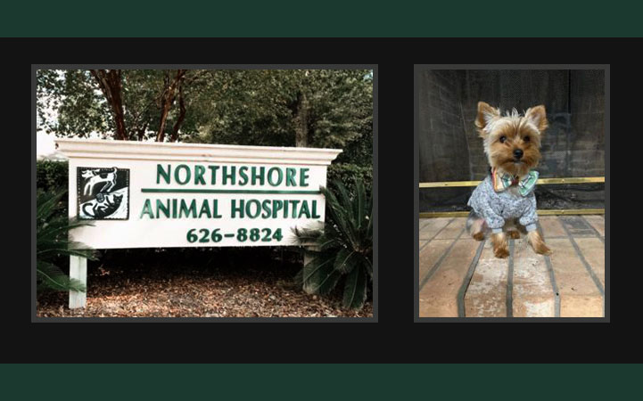 NORTHSHORE ANIMAL HOSPITAL INC