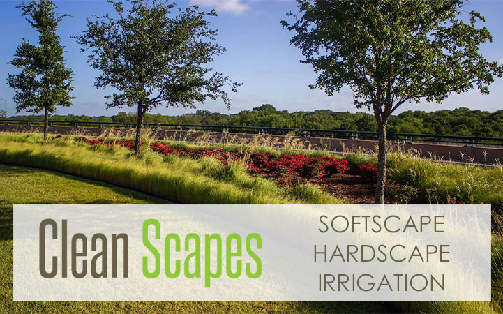 CLEAN SCAPES