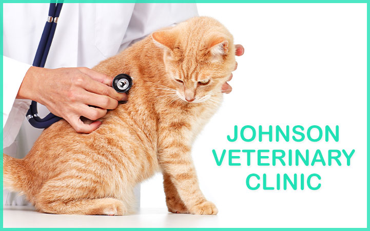 JOHNSON VETERINARY CLINIC