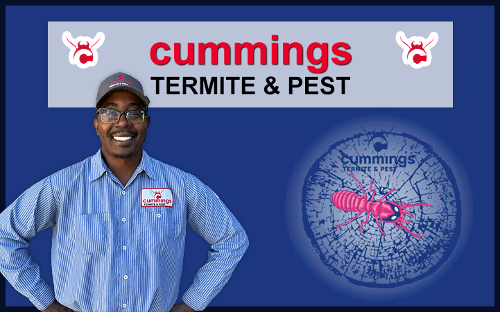 CUMMINGS TERMITE & PEST - Local PEST CONTROL in Fountain Hills, AZ