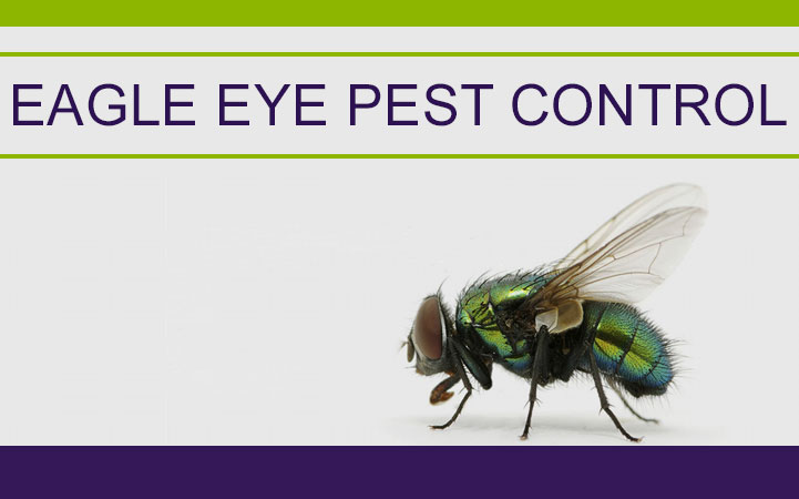 EAGLE EYE PEST CONTROL
