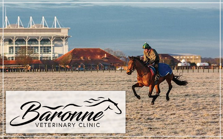 BARONNE VETERINARY CLINIC LLC